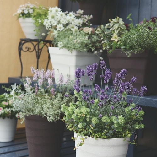 クラフトボール 35型 ホワイト