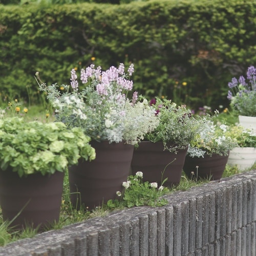 クラフトボール 35型 ダークブラウン
