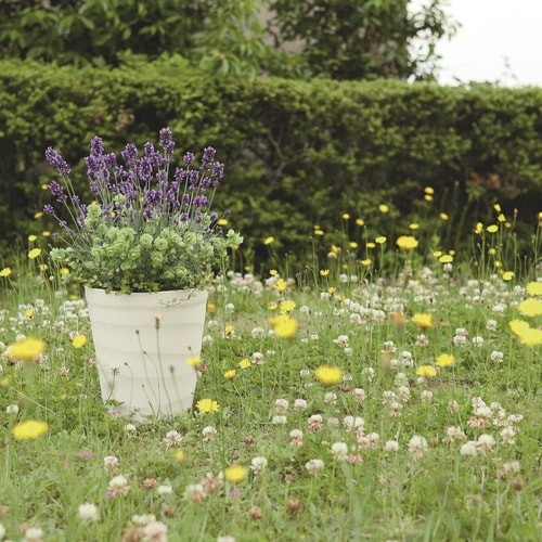 クラフトポット 18型 ホワイト