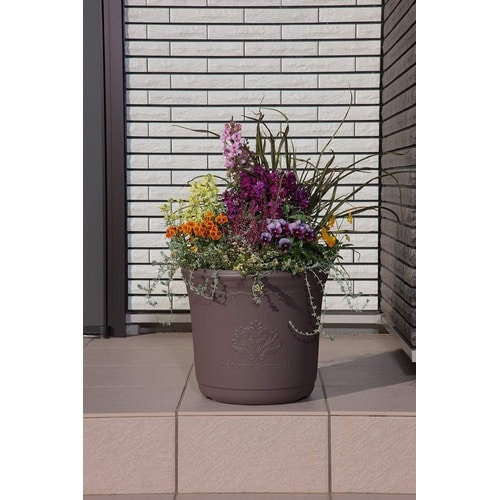 セシルポット 29型 アッシュブラウン