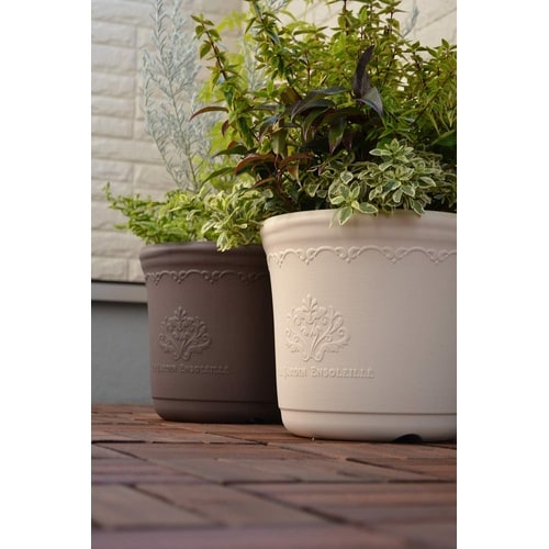 セシルポット 29型 アッシュブラウン