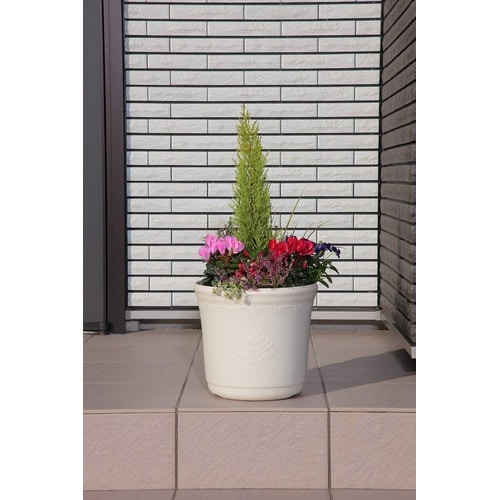 セシルポット 35型 アイボリー