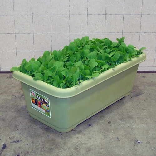 菜園コンテナ 720型 グリーン