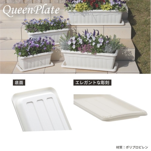 クイーンプレート 700型 ホワイト