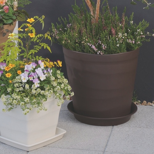 クラフトプレート 30型用 ダークブラウン