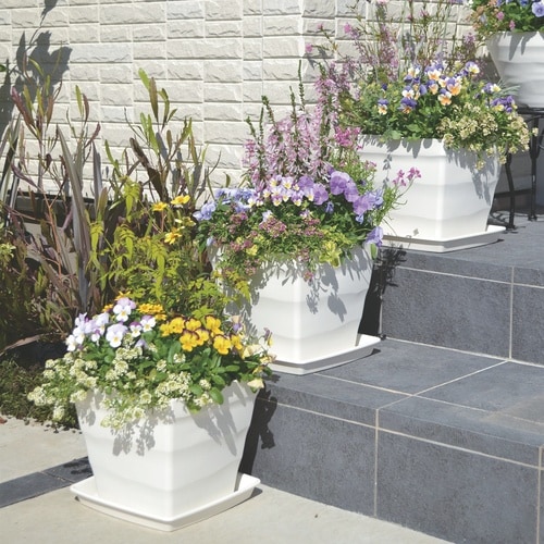 クラフトスクエアプレート 30型 ホワイト