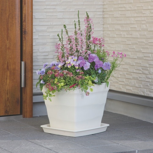 クラフトスクエアプレート 30型 ホワイト