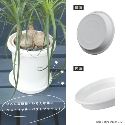 鉢皿F型 4号 ホワイト