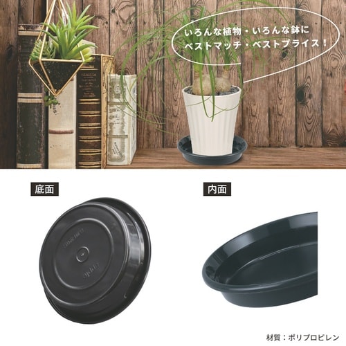 鉢皿F型 5号 ブラック