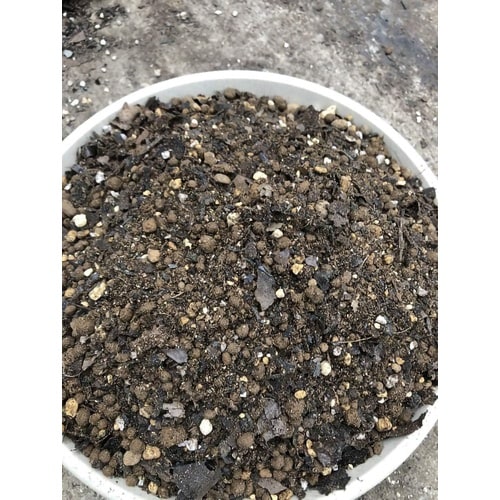 HB‐101観葉植物の土 6L