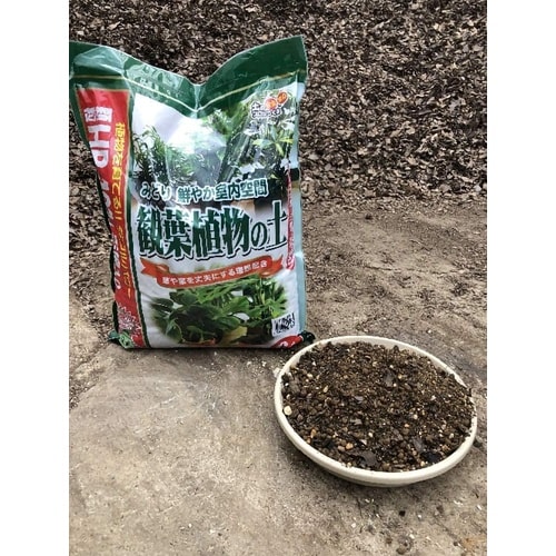 HB‐101観葉植物の土 6L
