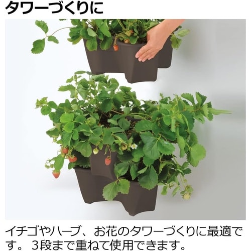 ハーベリーポット 43型N ダークブラウン