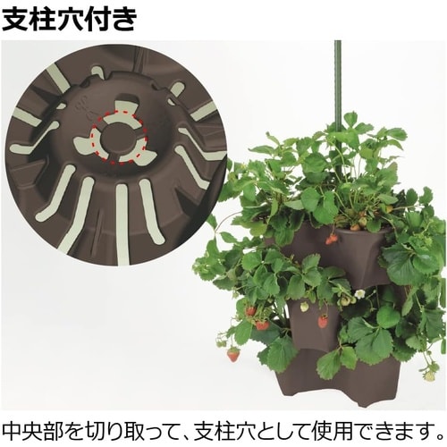 ハーベリーポット 52型N ダークブラウン