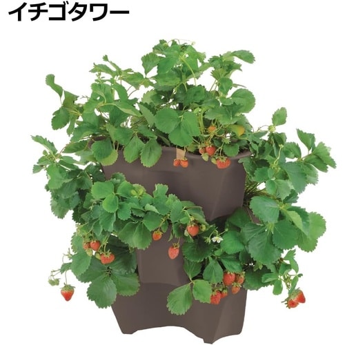 ハーベリーポット 52型N ダークブラウン