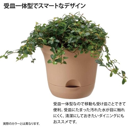 ウルオ ポット 20型N BE