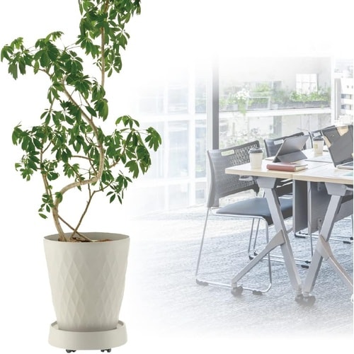 ラピス キャスタープレート S ホワイト