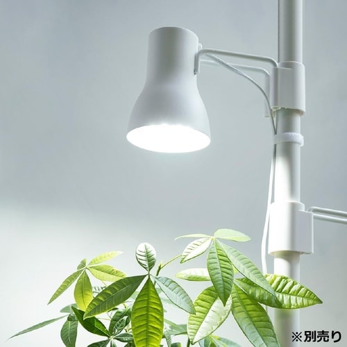 ボタニー キャスター付ハンギングポール ブラック