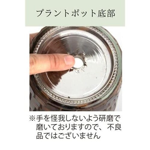 カレードプラントポット M レッド KH−6123