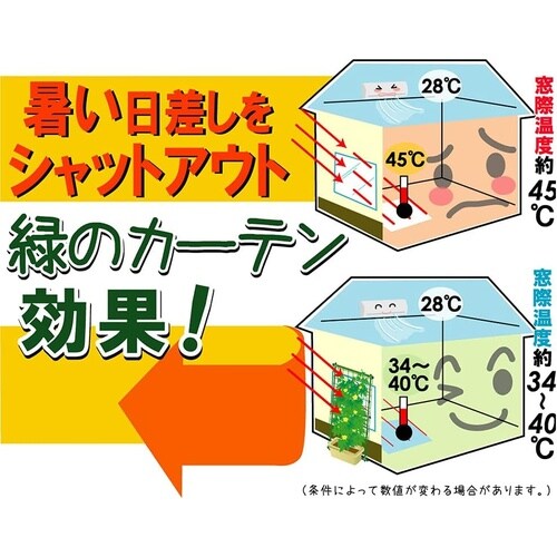 緑のカーテンネット 1.8X3m