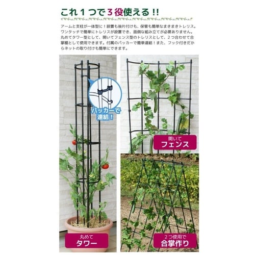 まきまきトレリス W600mmxH1800mm