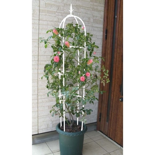 スモールオベリスク ホワイト 120cm