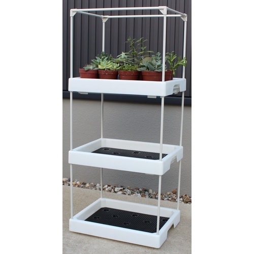 多肉マンション ホワイト