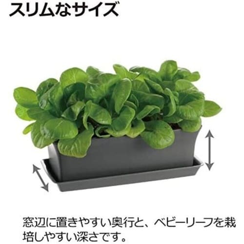ベビーリーフプランター 40型N ダークグレー
