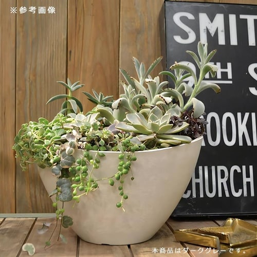 ボタニー バルカボール 20型 ダークグレー