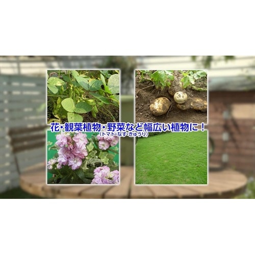 農薬 オルトラン粒剤 200g