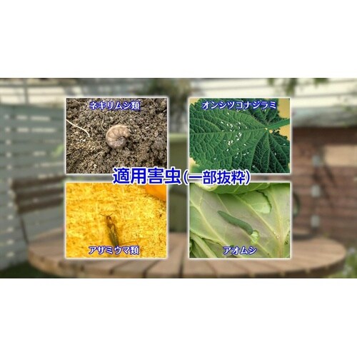 農薬 オルトラン粒剤 200g