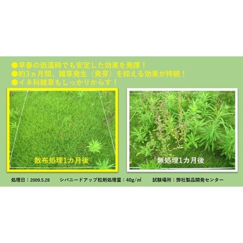 農薬 シバニードアップ粒剤 700g