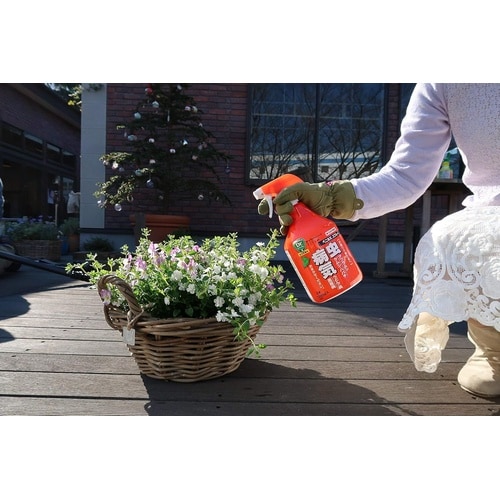 農薬 ベニカX スプレー 1000ml