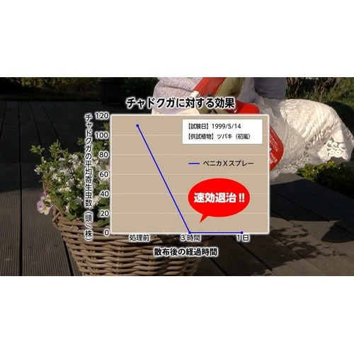 農薬 ベニカX スプレー 1000ml