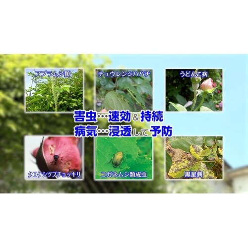 農薬 ベニカXファインスプレーバラ用 950ml