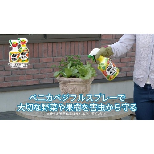 農薬 ベニカベジフルスプレー 1000ml
