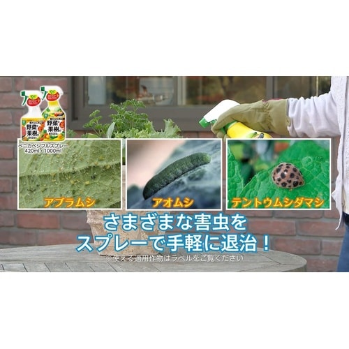 農薬 ベニカベジフルスプレー 1000ml