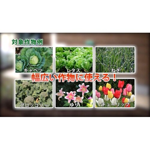 農薬 石原フロンサイド粉剤 700g