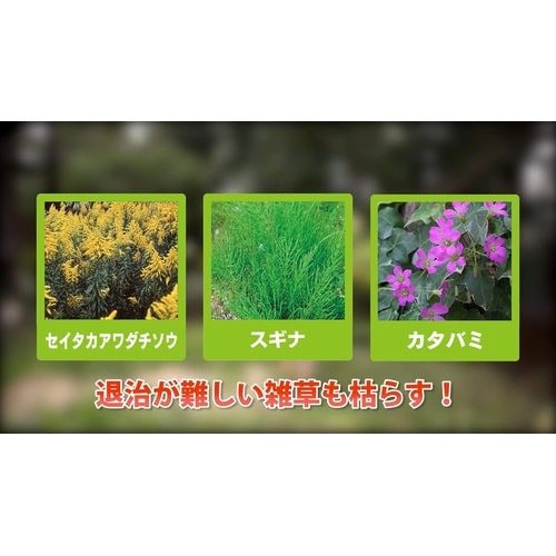 農薬 草退治メガロングシャワー 2L