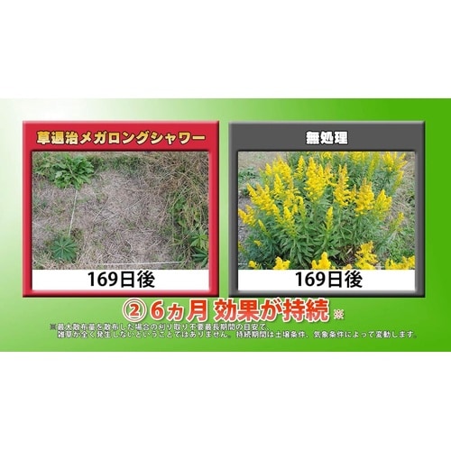 農薬 草退治メガロングシャワー 2L