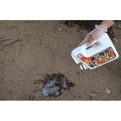 アリアトールシャワー巣ごと退治 2L