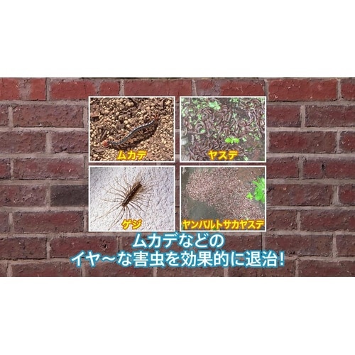 ムカデ粉剤EX 1.2kg