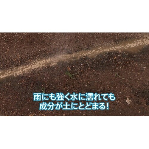 ムカデ粉剤EX 1.2kg