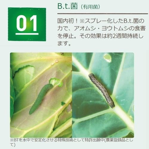 農薬 ベニカナチュラルスプレー 1000ml