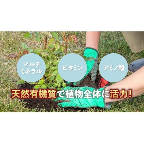 マイローズ ばらの活力液DX 800ml