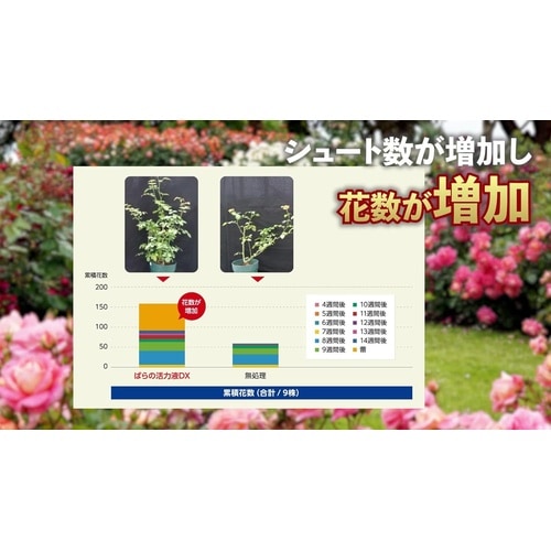 マイローズ ばらの活力液DX 800ml