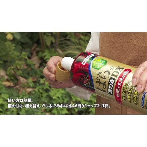 マイローズ ばらの活力液DX 800ml