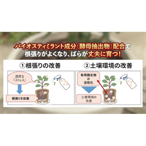 マイローズ ばらの活力液DX 800ml