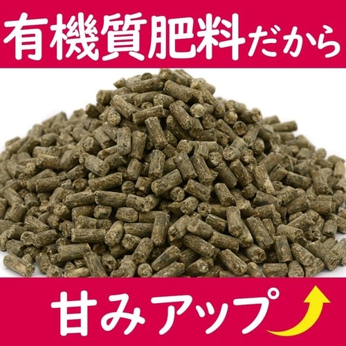 甘いイチゴをつくる肥料 2kg