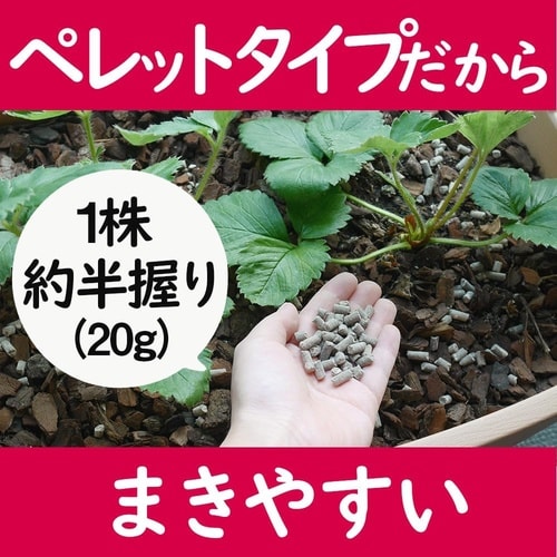 甘いイチゴをつくる肥料 2kg