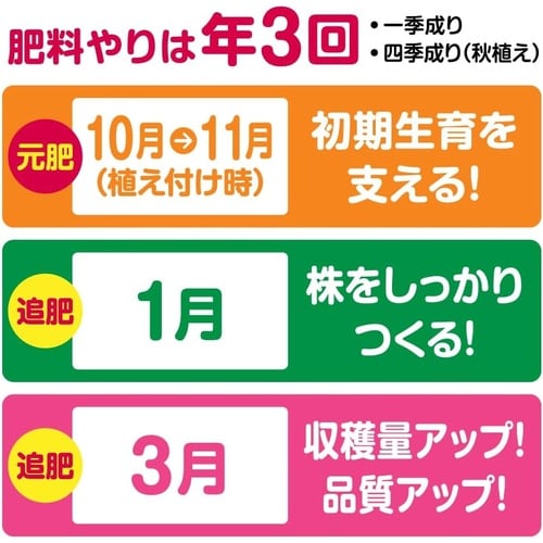 甘いイチゴをつくる肥料 2kg
